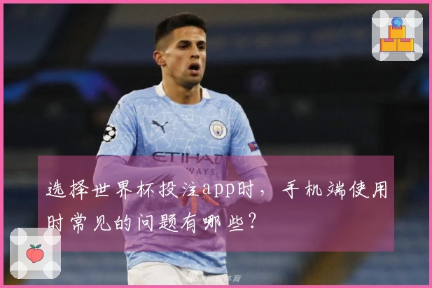 选择世界杯投注app时,手机端使用时常见的问题有哪些?