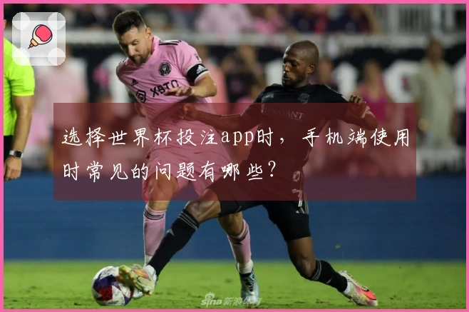 选择世界杯投注app时，手机端使用时常见的问题有哪些？