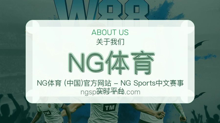 NG体育关于平台与用户服务展示